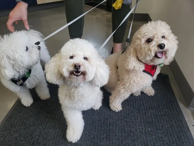 Animal Health Center of Leawood — photo from the business 2