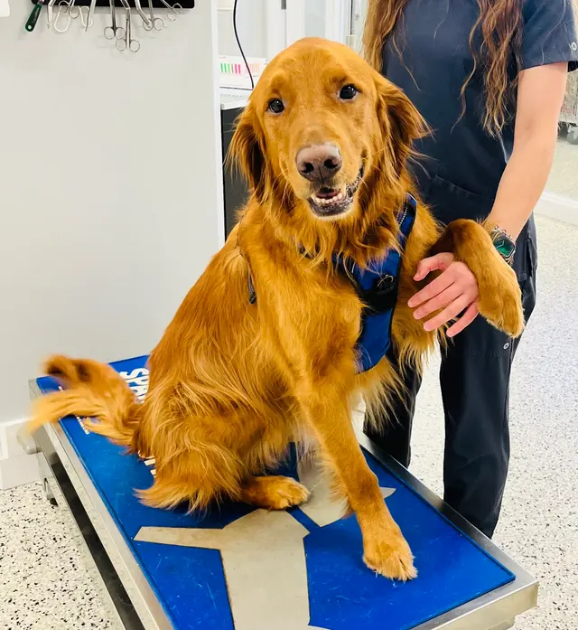 Quivira Crossing Veterinary Clinic — photo from the business 9