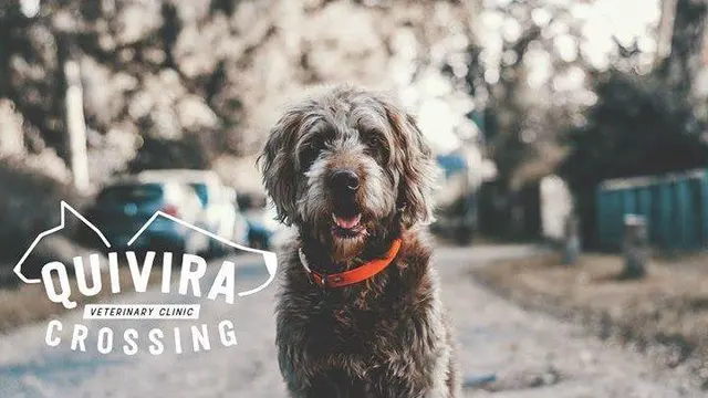Quivira Crossing Veterinary Clinic — photo from the business 1