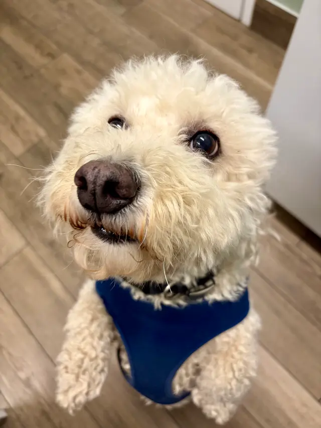 Quivira Crossing Veterinary Clinic — photo from the business 11