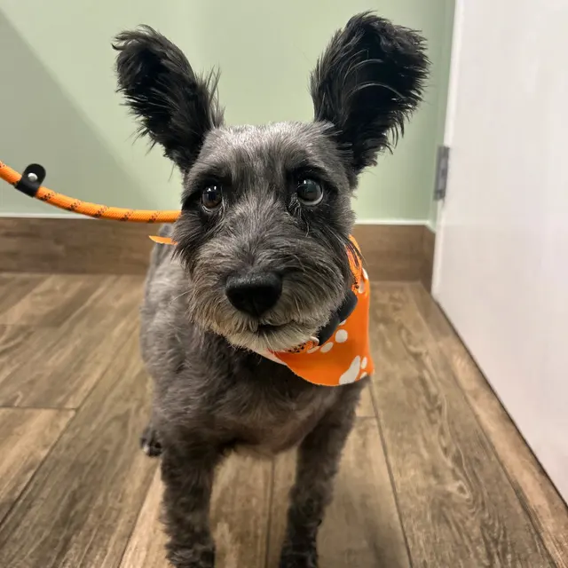 Quivira Crossing Veterinary Clinic — photo from the business 12