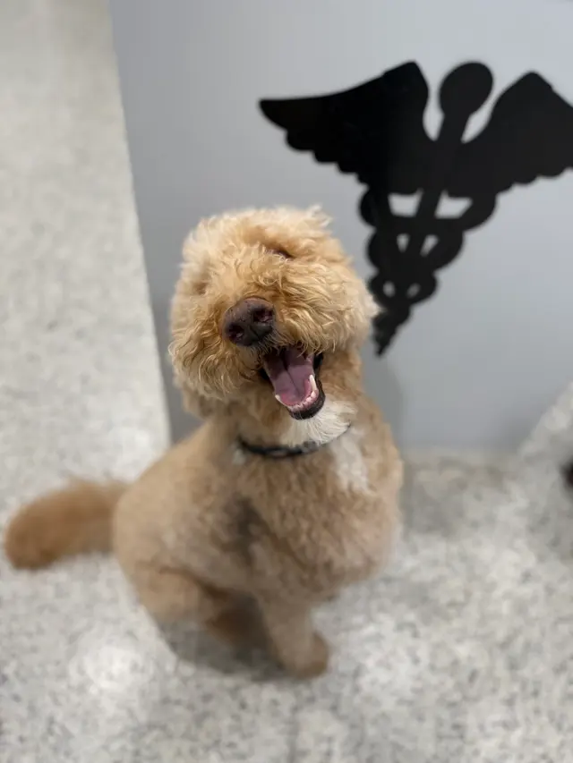 Quivira Crossing Veterinary Clinic — photo from the business 3