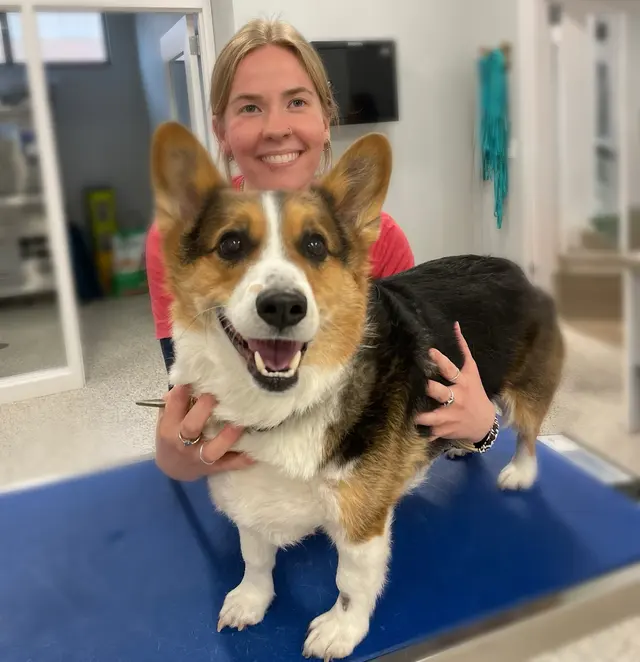 Quivira Crossing Veterinary Clinic — photo from the business 10