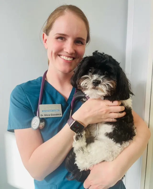 Quivira Crossing Veterinary Clinic — photo from the business 5