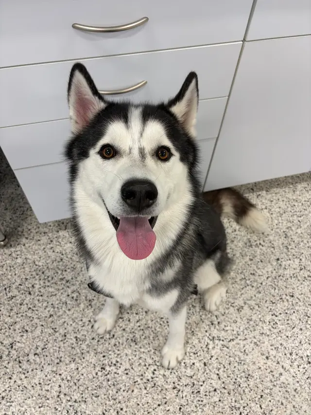 Quivira Crossing Veterinary Clinic — photo from the business 6