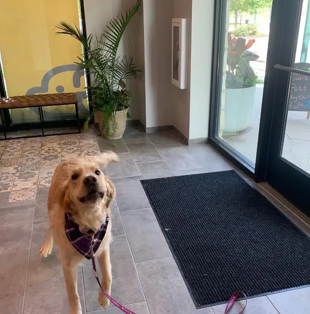 GoodVets Overland Park Leawood — photo from the business 10