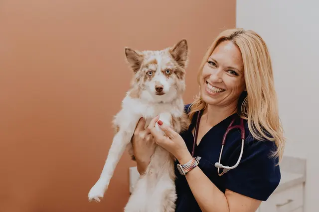 GoodVets Overland Park Leawood — photo from the business 2