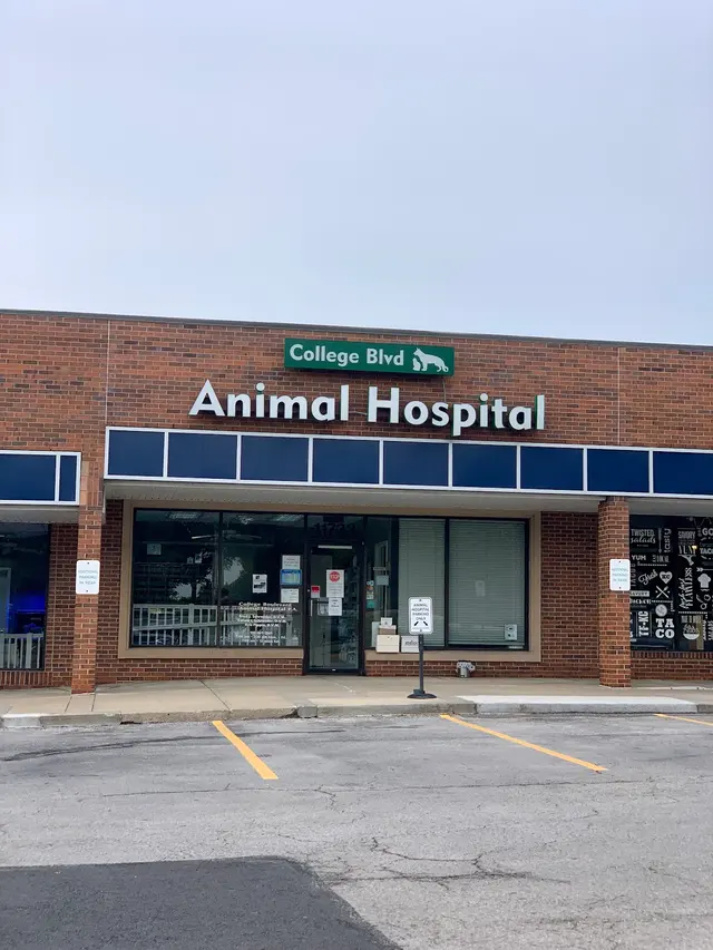 College Boulevard Animal Hospital — customer photo 4