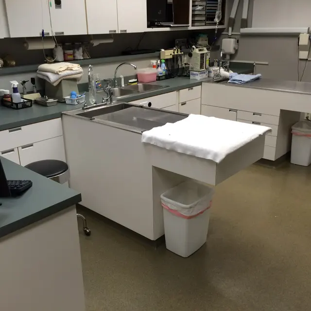 College Boulevard Animal Hospital — photo from the business 8