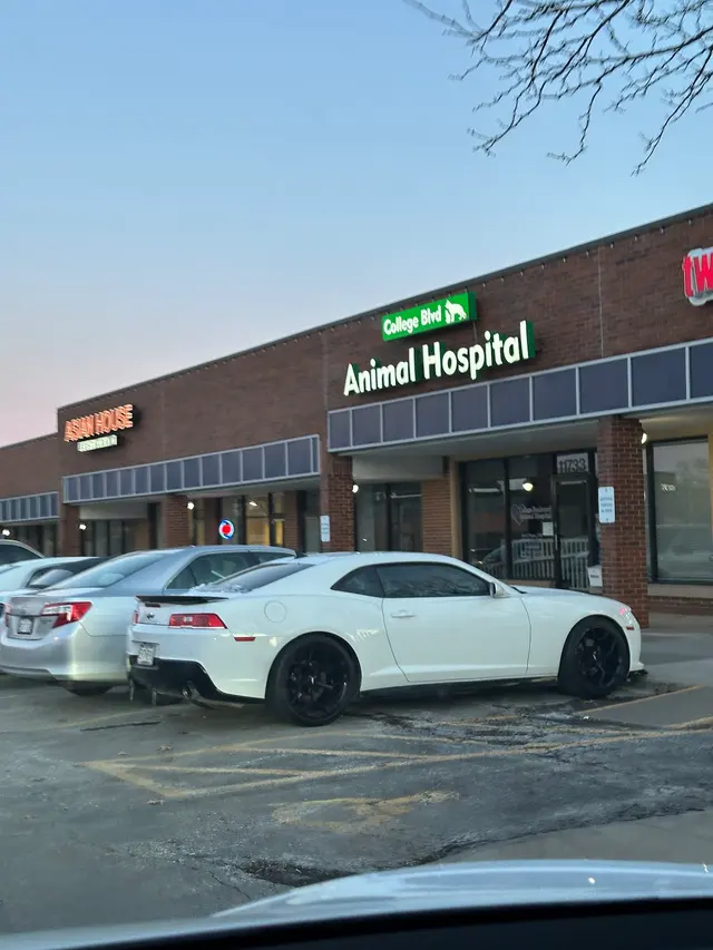 College Boulevard Animal Hospital — customer photo 9