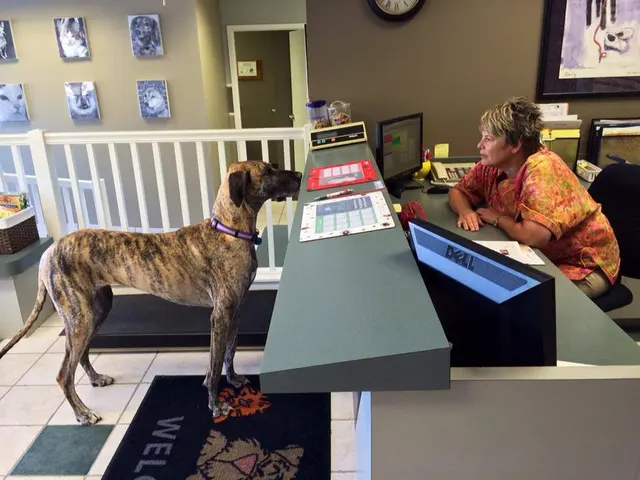 College Boulevard Animal Hospital — photo from the business 1