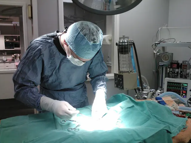 College Boulevard Animal Hospital — photo from the business 6