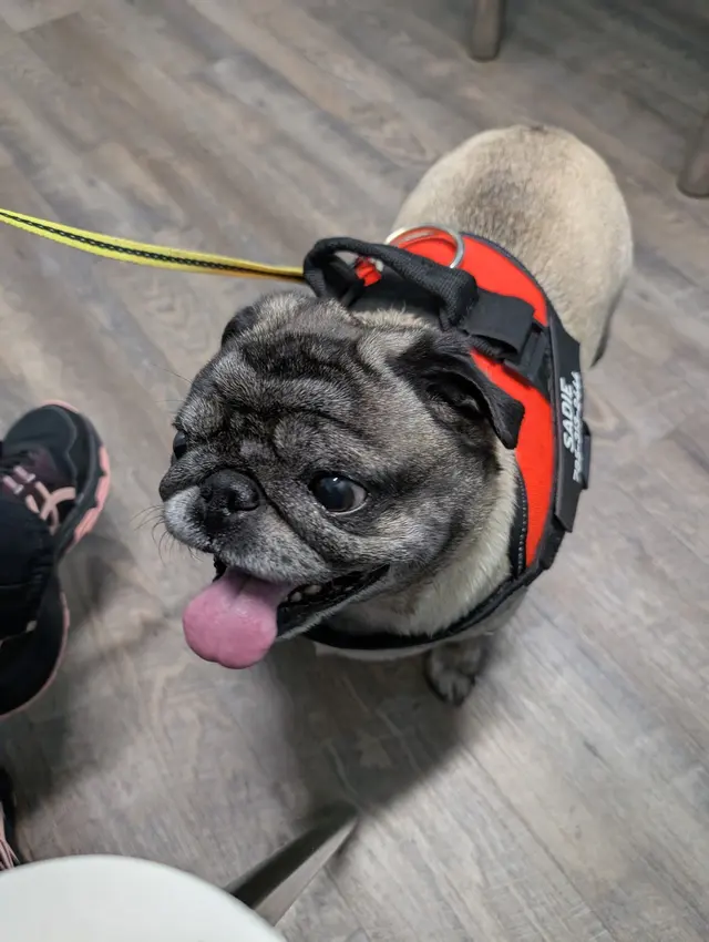 easyvet Veterinarian Overland Park — customer photo 7