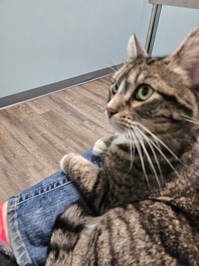 easyvet Veterinarian Overland Park — customer photo 6