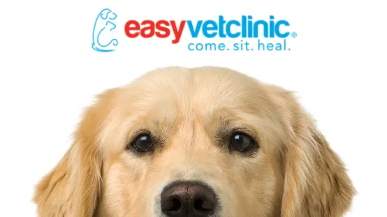 easyvet Veterinarian Overland Park — photo from the business 1