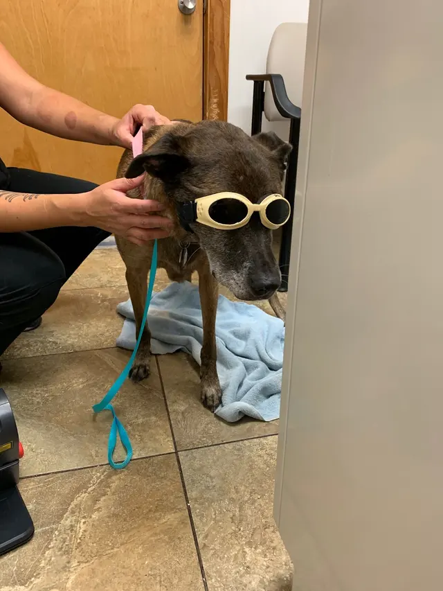 Mission Animal Clinic — customer photo 3