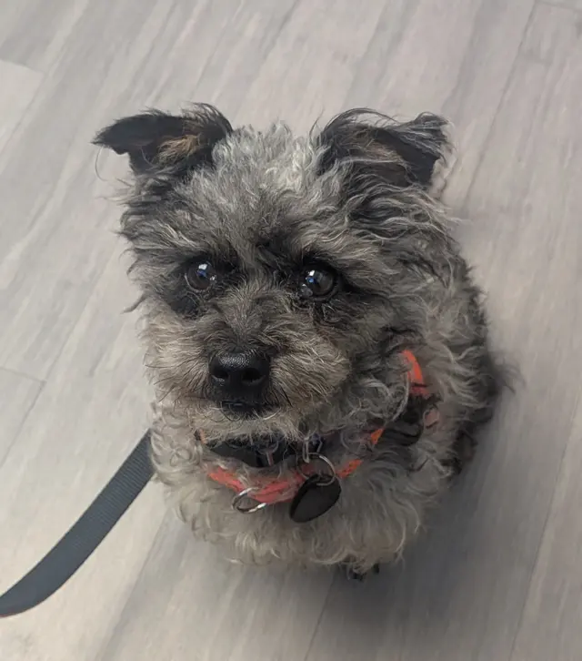 Mission Animal Clinic — customer photo 4