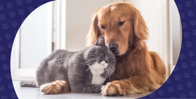 Mission Animal Clinic — photo from the business 12