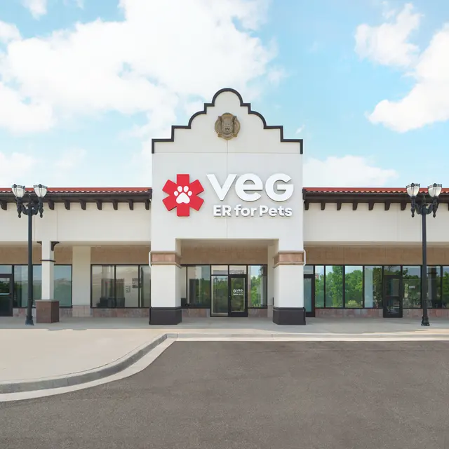 VEG ER for Pets — photo from the business 3