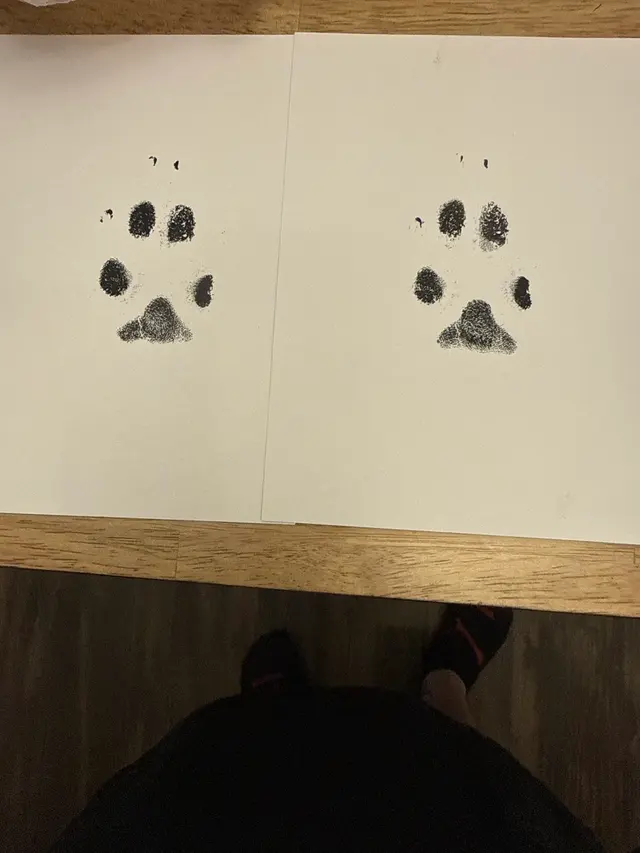 VEG ER for Pets — customer photo 12
