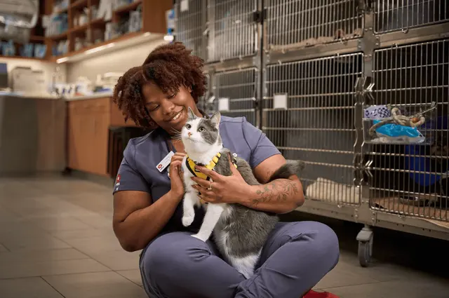 VEG ER for Pets — photo from the business 1