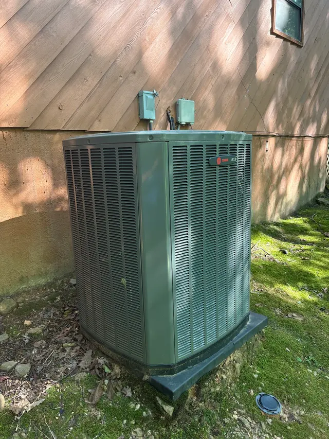 Customer photo from Lance's review