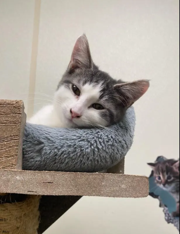 Omro Animal Hospital — customer photo 3