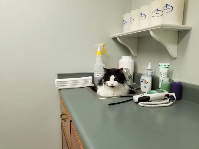 Omro Animal Hospital — customer photo 4