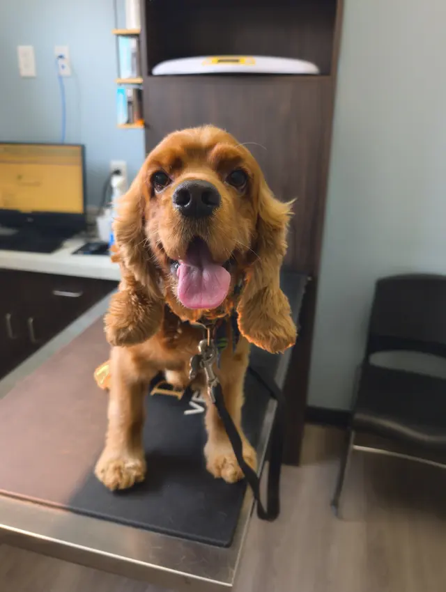 Omro Animal Hospital — customer photo 2