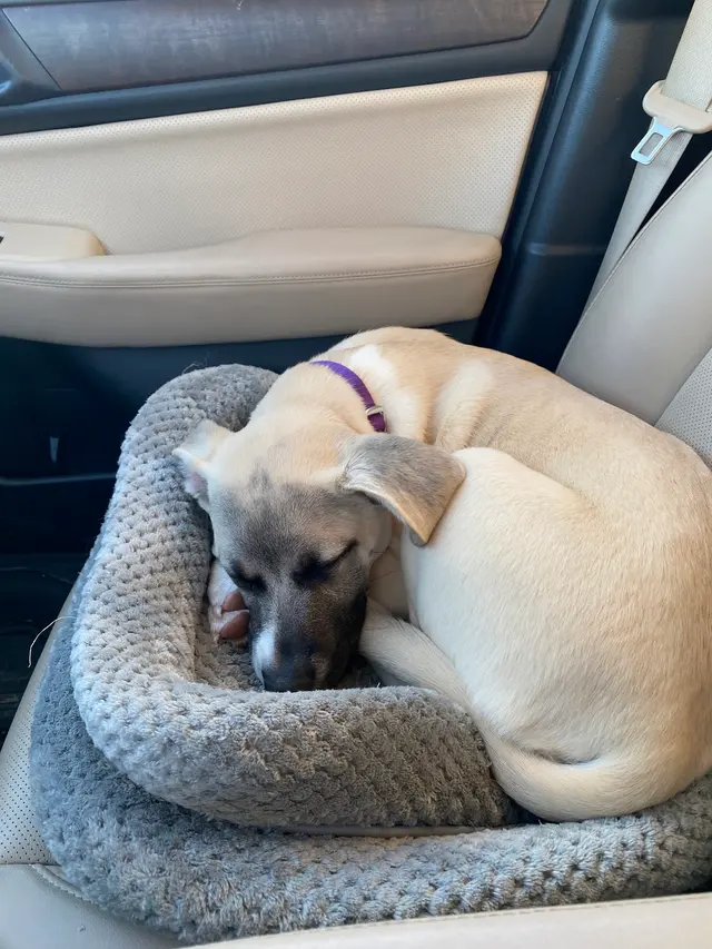 Omro Animal Hospital — customer photo 12