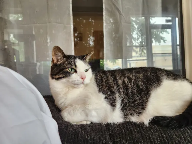 Omro Animal Hospital — customer photo 5