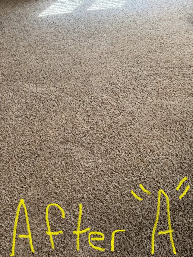 King's Cleaning Solutions — customer photo 7