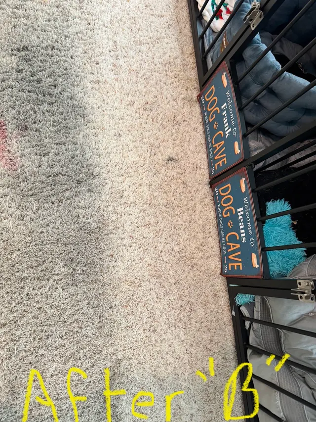 King's Cleaning Solutions — customer photo 6
