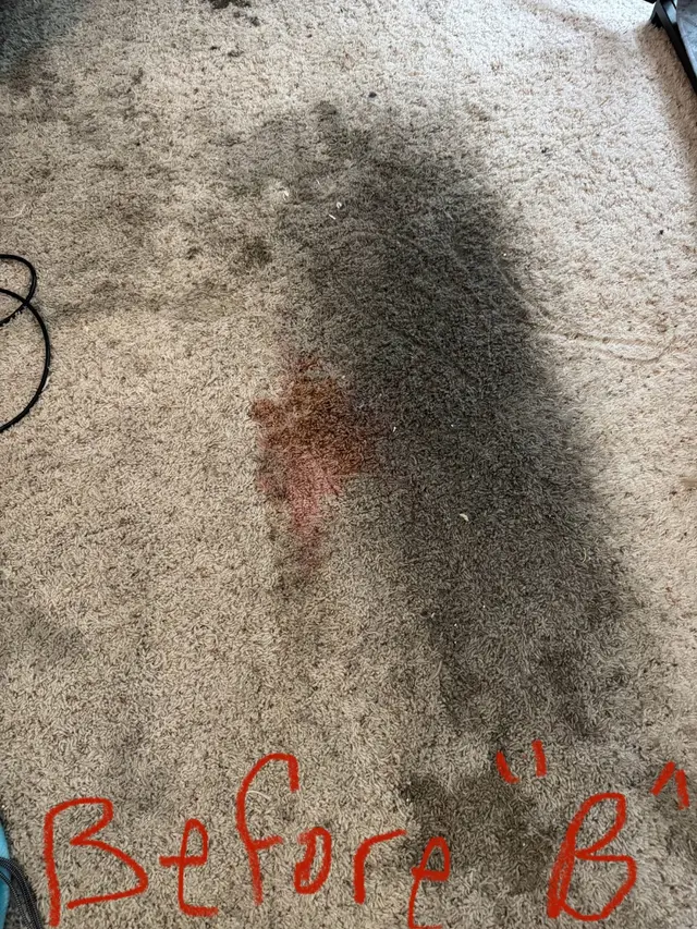 King's Cleaning Solutions — customer photo 8