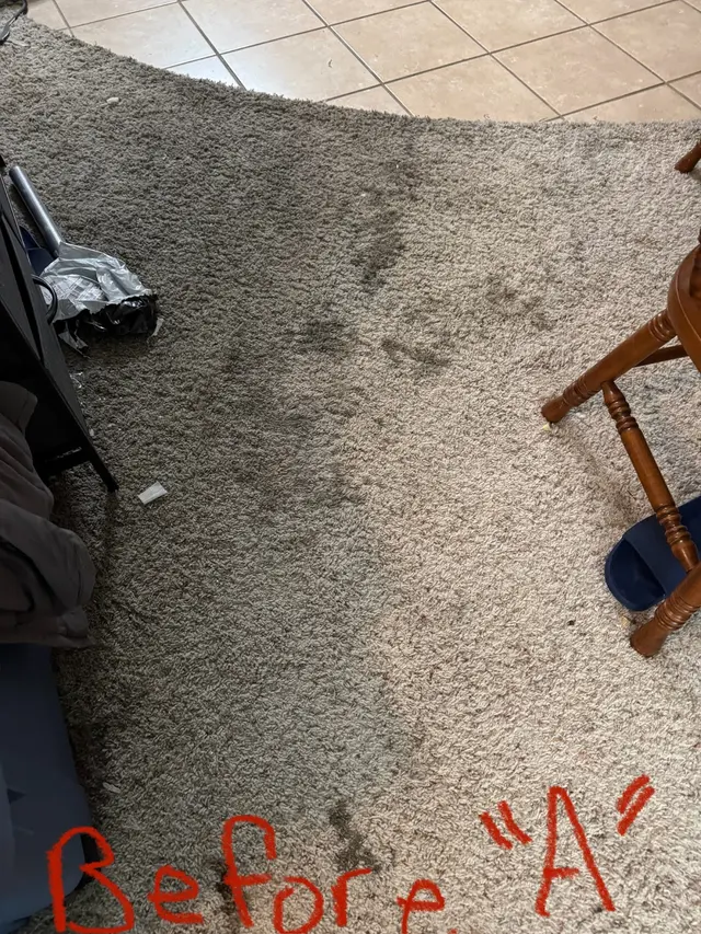 King's Cleaning Solutions — customer photo 3