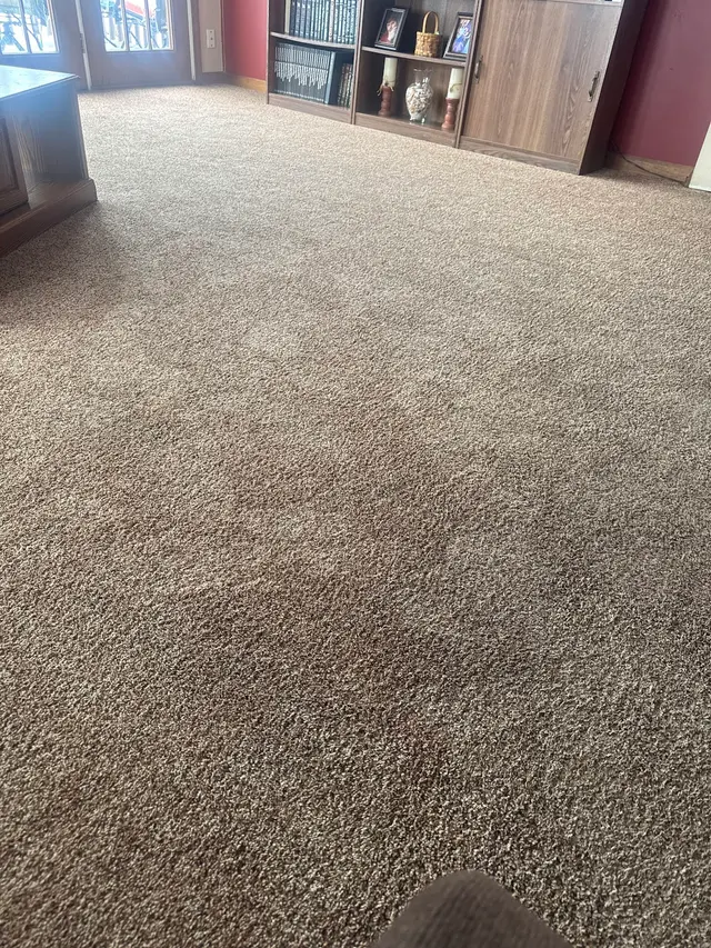 Stanley Steemer — customer photo 9
