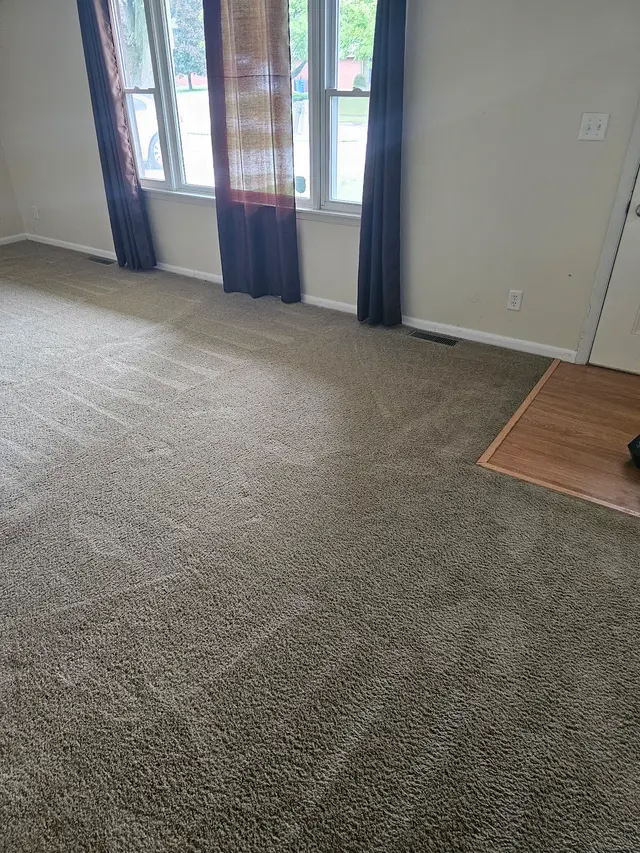 Stanley Steemer — customer photo 10
