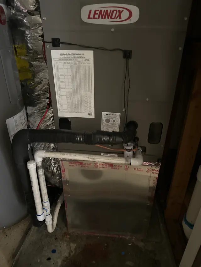 Customer photo from Tom's review