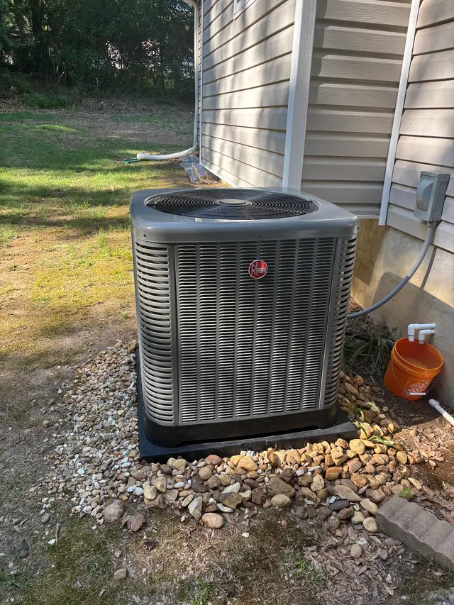 Customer photo from Clayton's review