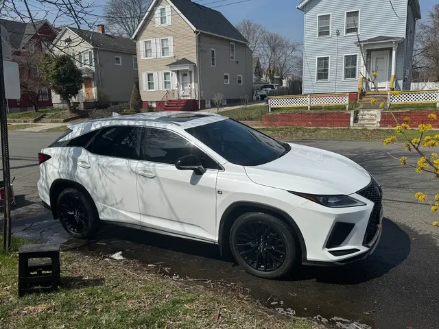 Suave Auto Detailing — photo from the business 3