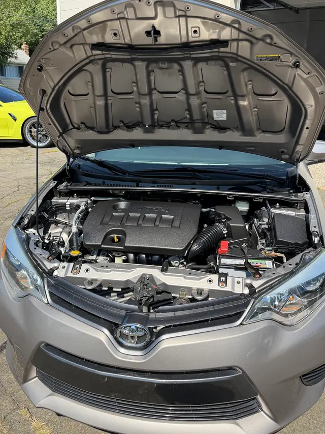 Top Notch Auto Spa — customer photo 10