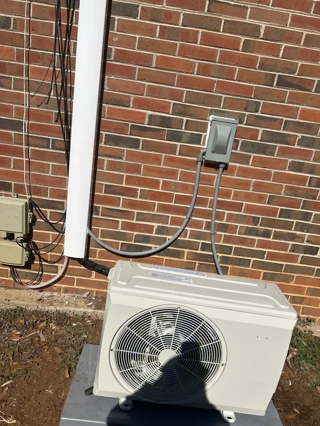 Customer photo from Alberta's review