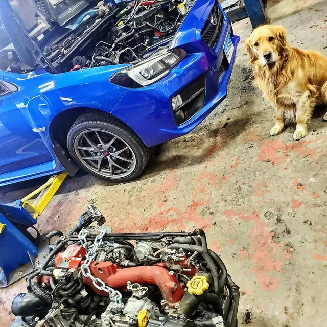Bill's Automotive — photo from the business 6
