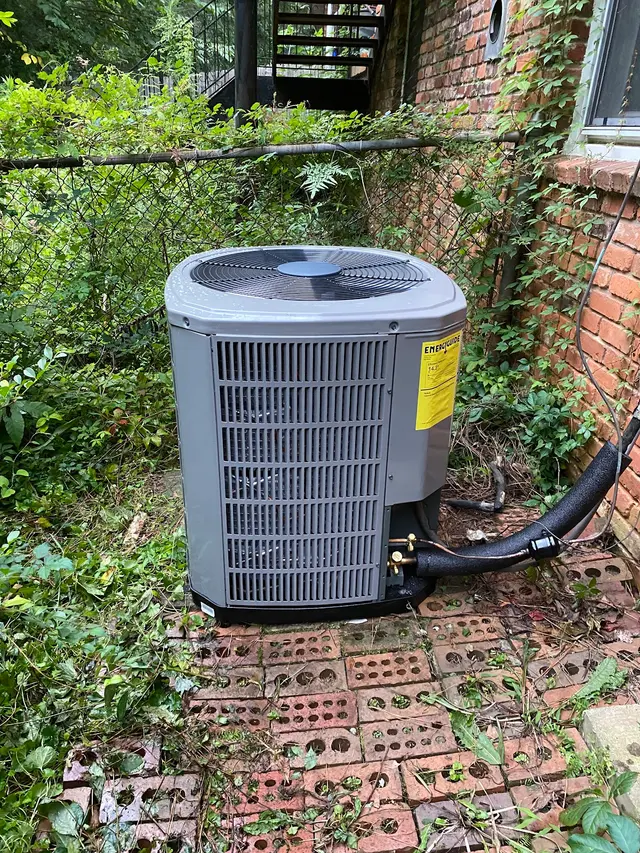 Customer photo from Derik's review