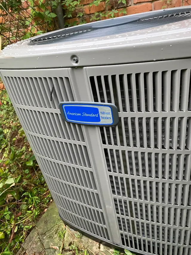 Customer photo from Derik's review