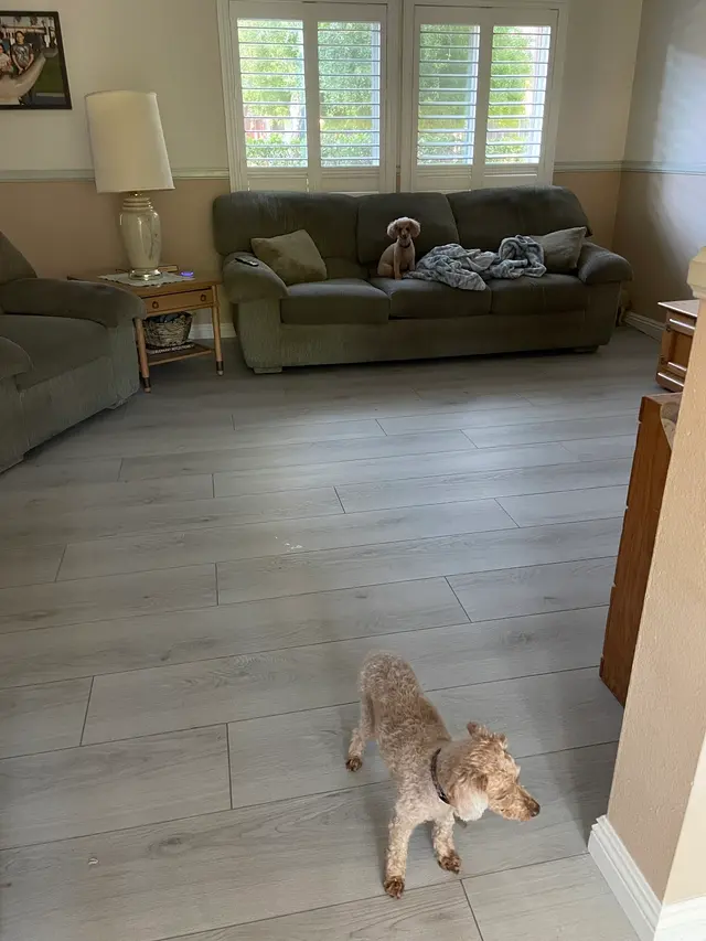 Customer photo of work by Labonte's Flooring, Blinds & Shutters, from Karen Bachand's review
