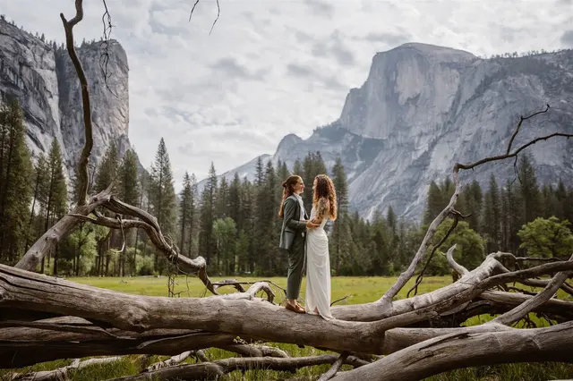 Vows and Peaks — photo from the business 7