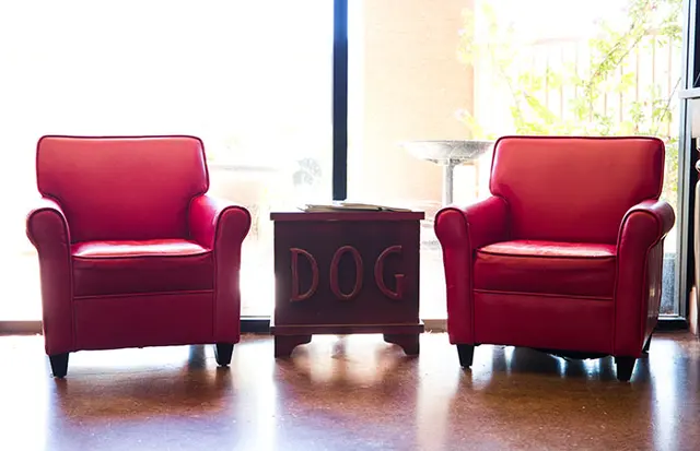 Boulder Falls Pet Resort & Day Spa — photo from the business 12