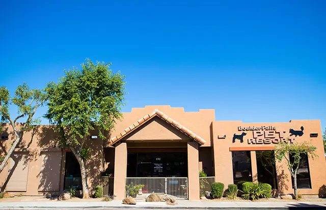 Boulder Falls Pet Resort & Day Spa — photo from the business 3
