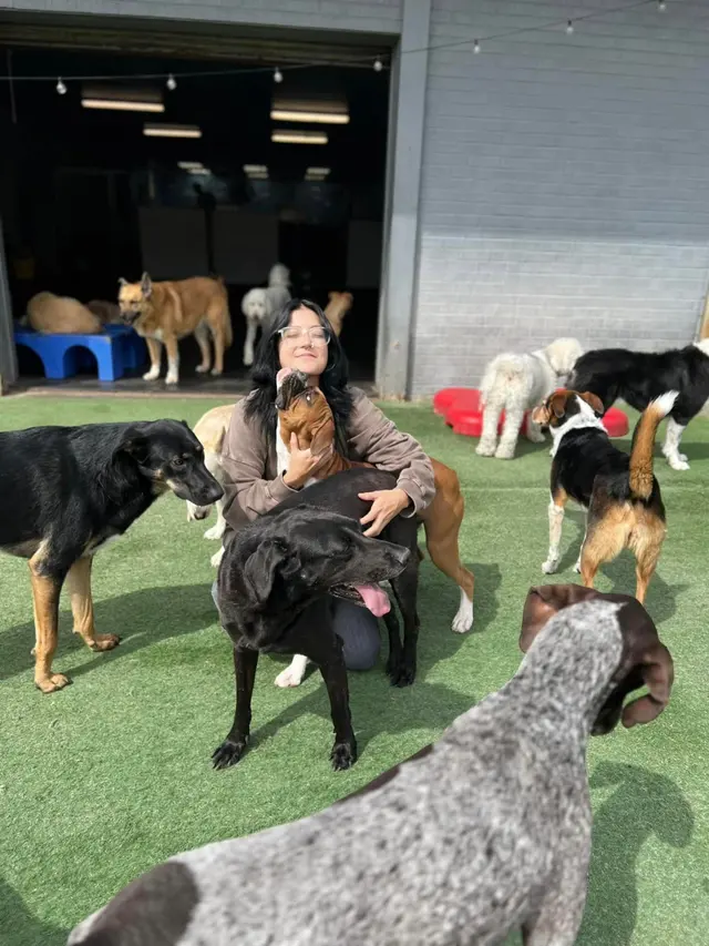 Learning Paws 24/7 — photo from the business 1